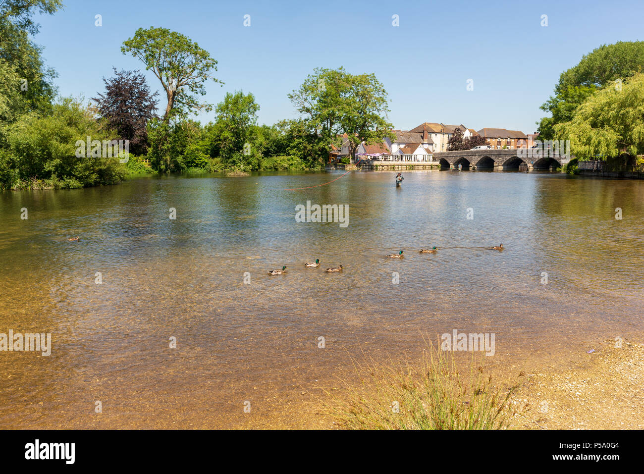 River Avon and arched bridge at Fordingbridge, Hampshire, UK, June