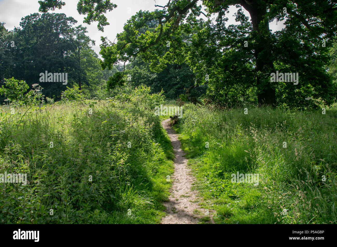 Footpath through the countryside Stock Photo - Alamy