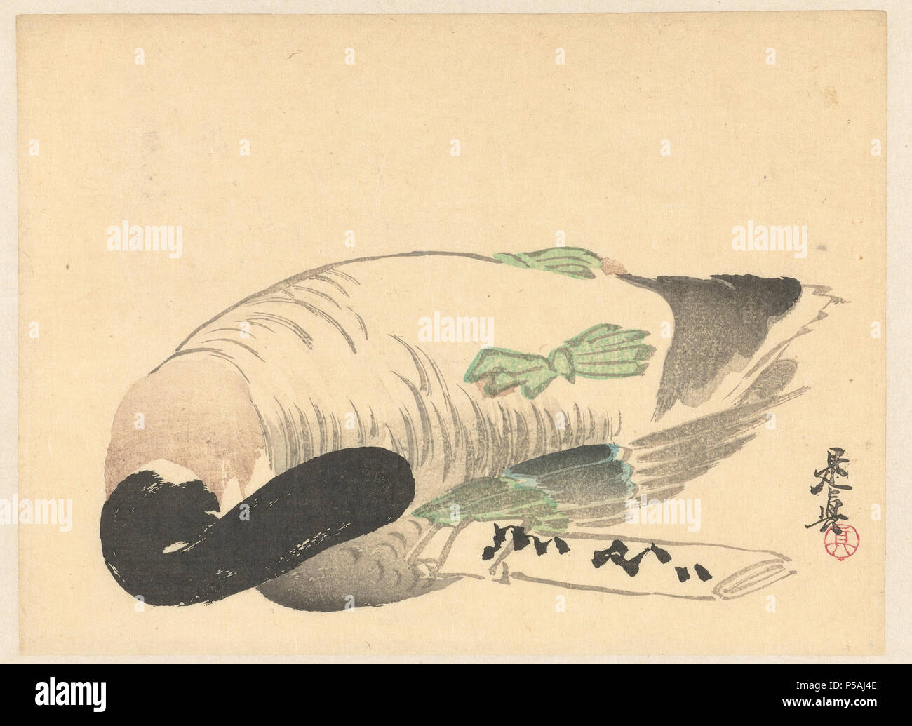 真作】高見朝蒼「百合」日本画 〇川端校修 北海道出身 眞筆