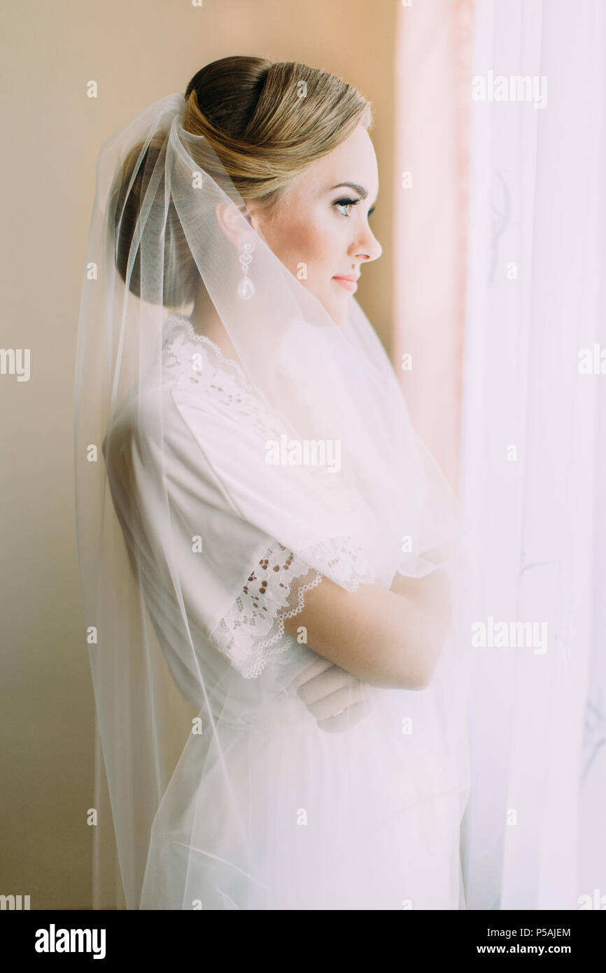 The beautiful bride with veil is looking through the window Stock Photo ...