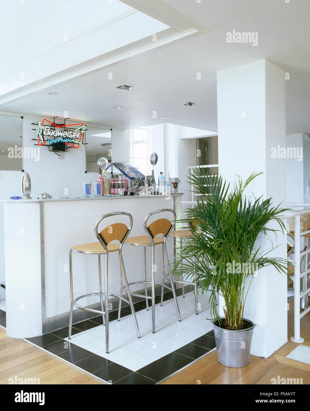 Potted palm in modern open plan kitchen with chrome stools at breakfast bar Stock Photo