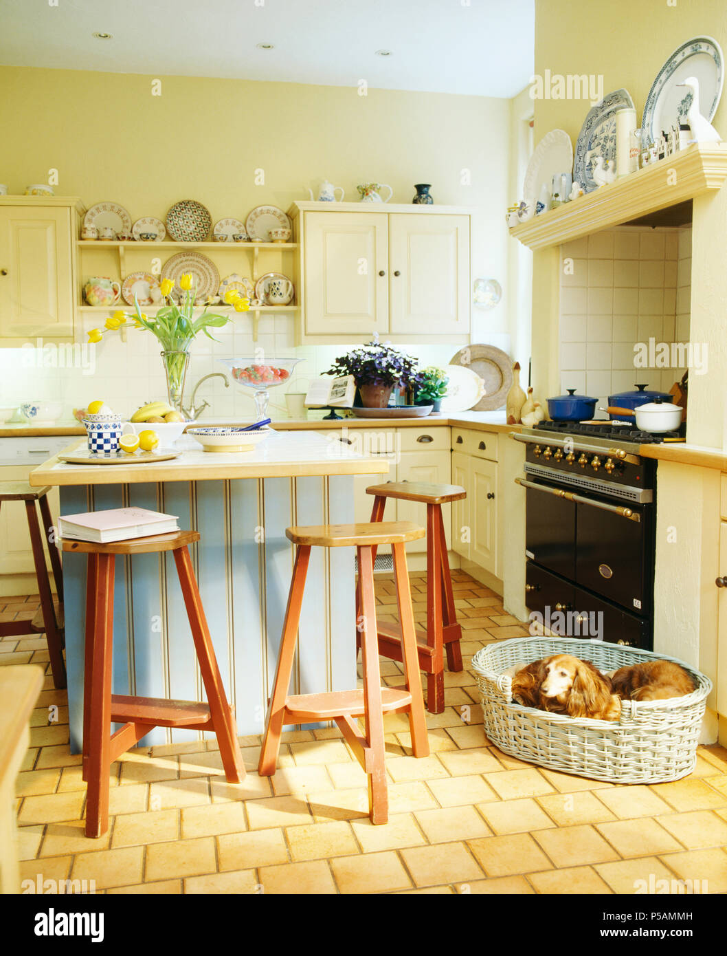 Simple wooden stools at pale blue island unit in cream cottage kitchen with dogs lying in basket beside range oven Stock Photo