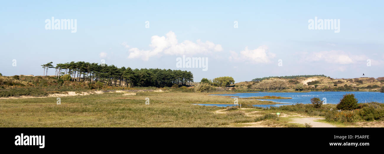 Typical Dutch landscape in the coastal area of North Holland, called Kennemerduinen with lake (Vogelmeer), trees, sunny weather, blue sky and clouds Stock Photo