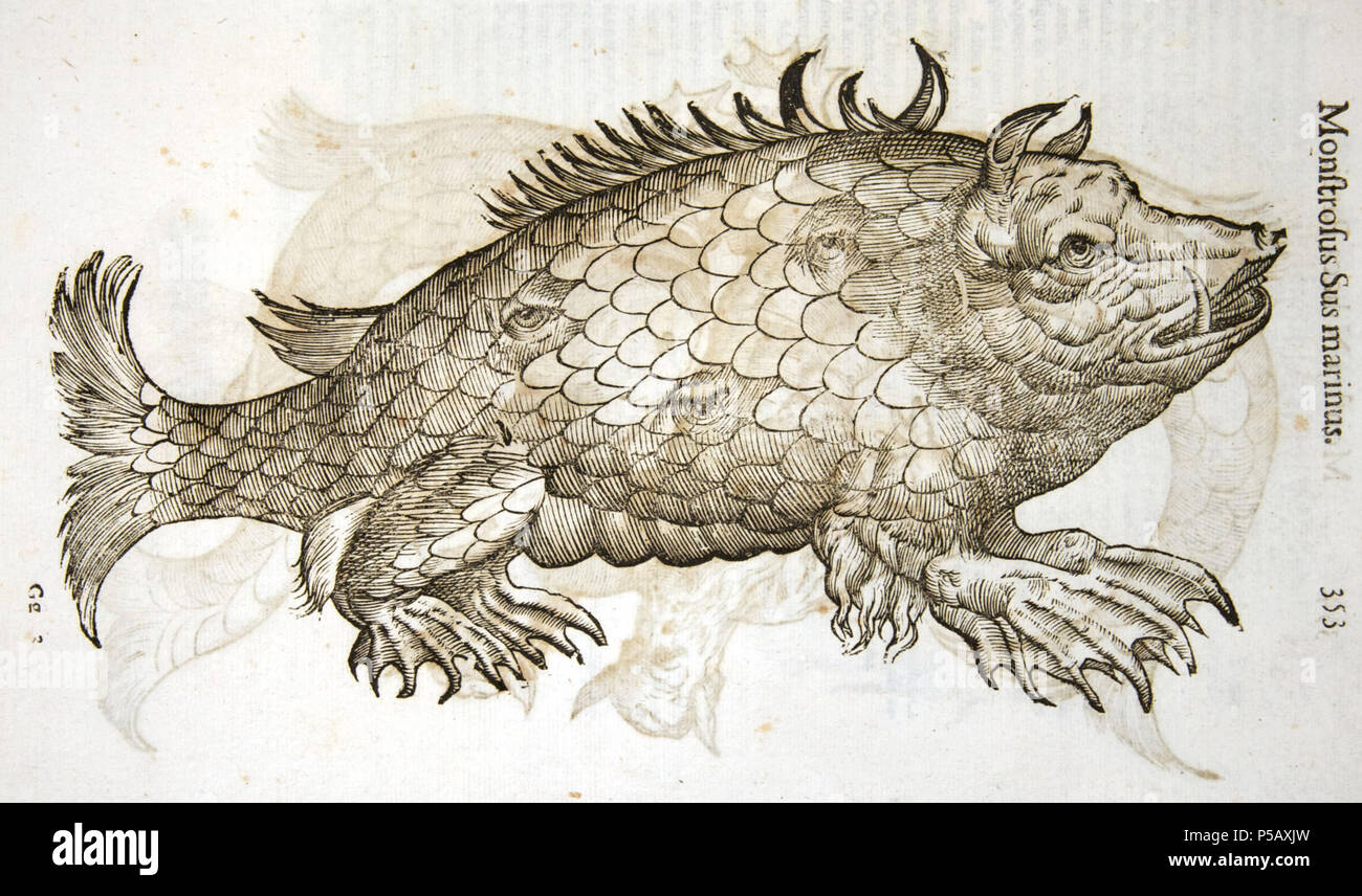 N/A. Français : Animal marin fabuleux. Monstrorum historia d'Ulisse ...