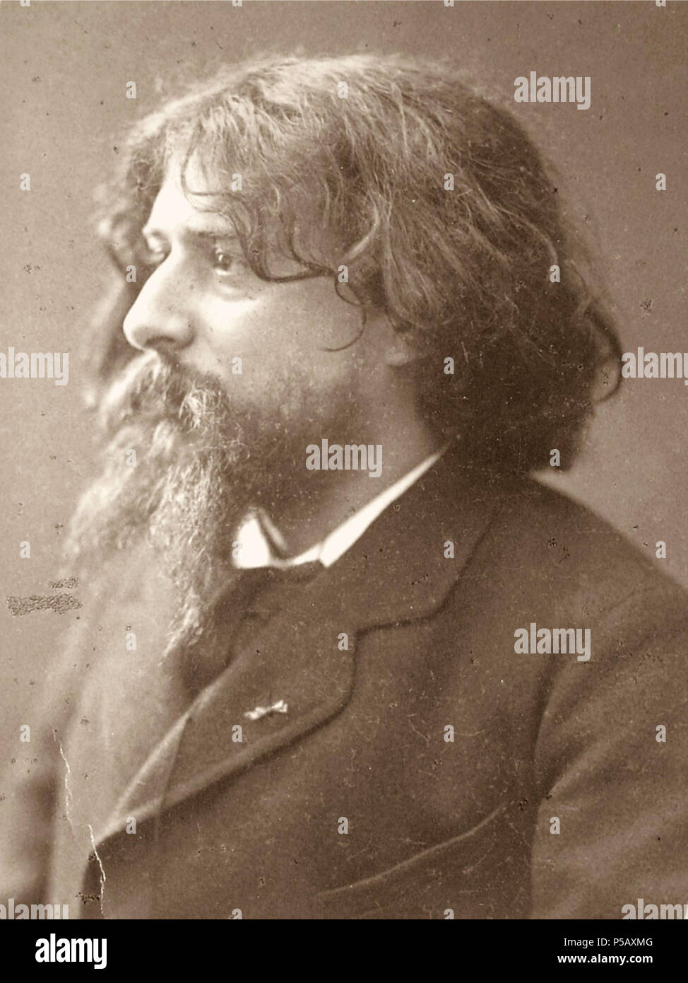 N/A. Deutsch: Alphonse Daudet 1840-1897 französischer Schriftsteller. 19th century. Nadar - Rue d´ Anjou, 51 Paris. 87 Alphonse Daudet. Stock Photo