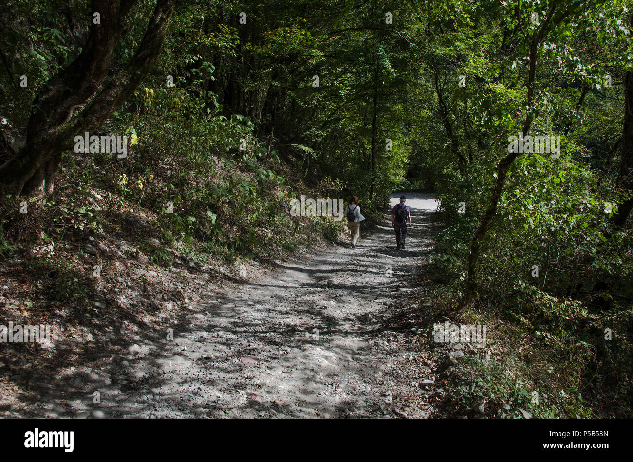 mamed-gorge-with-a-bed-of-dried-up-river-surrounded-by-greenery-stock