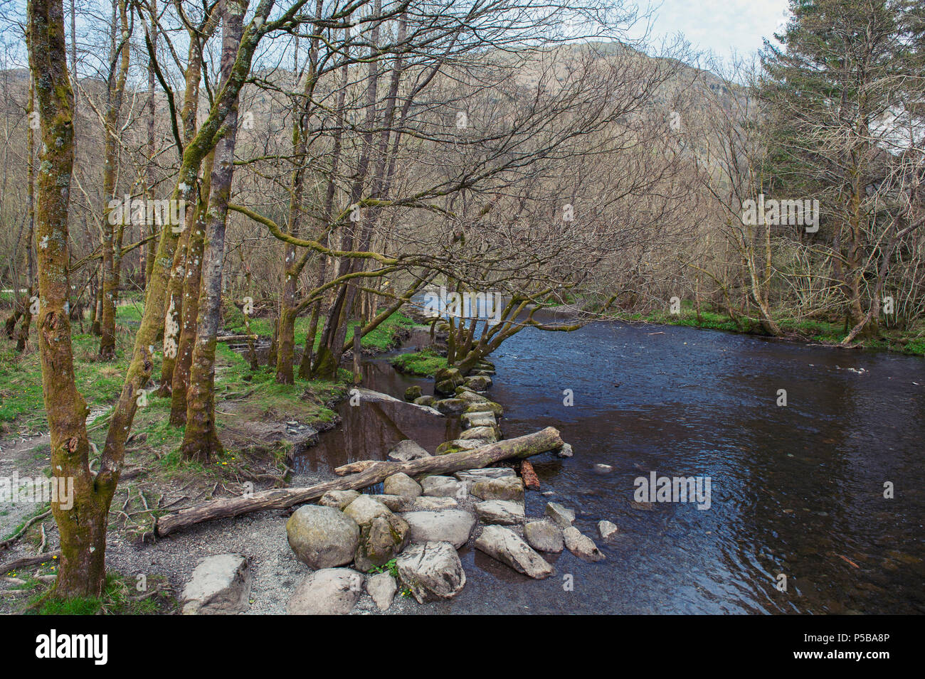 River Rothery River Rothay at White Moss Walks, scenic forest recreational area in ...