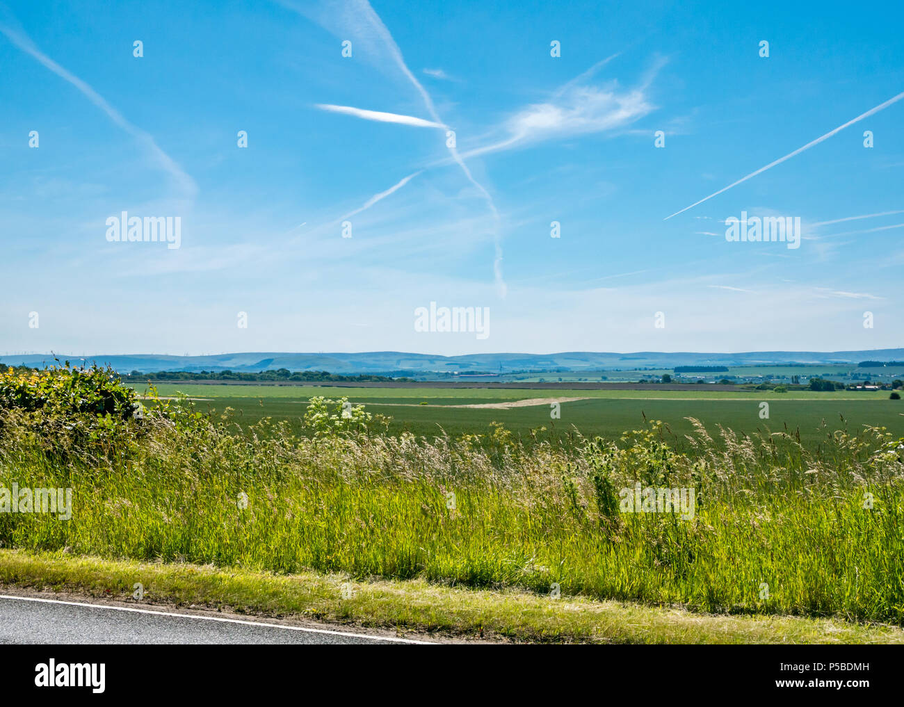 Summer landscape across agricultural fields with blue sky and cloud streaks, view of Lammermuir Hills, East Lothian, Scotland, UK Stock Photo