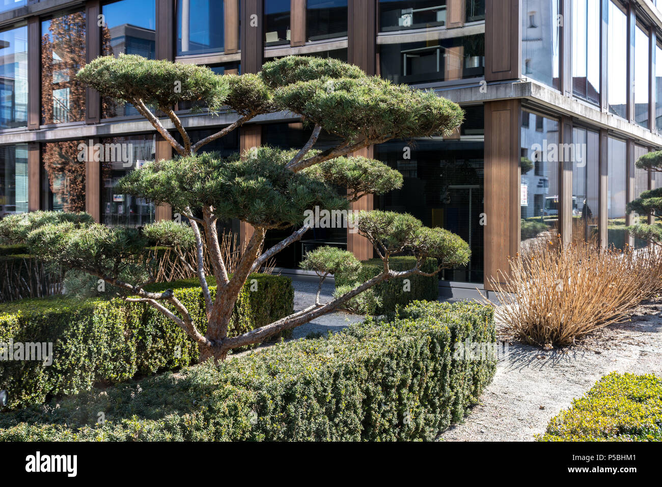 241/5000 Japanese Garden in Biberach, Germany Stock Photo