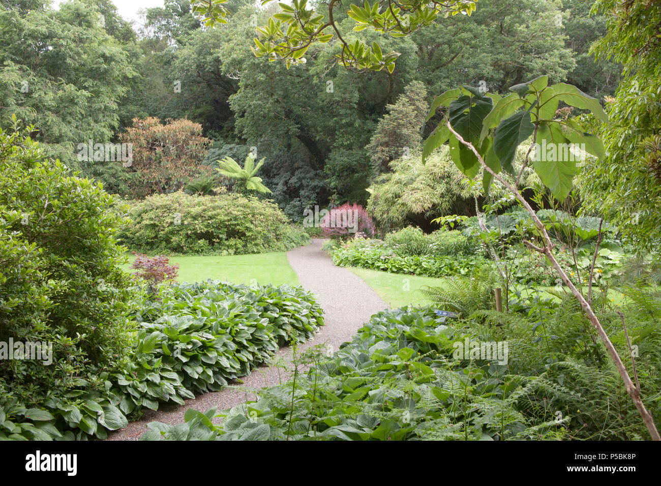 A short looped walk through the Gardens at Glenveagh Castle in