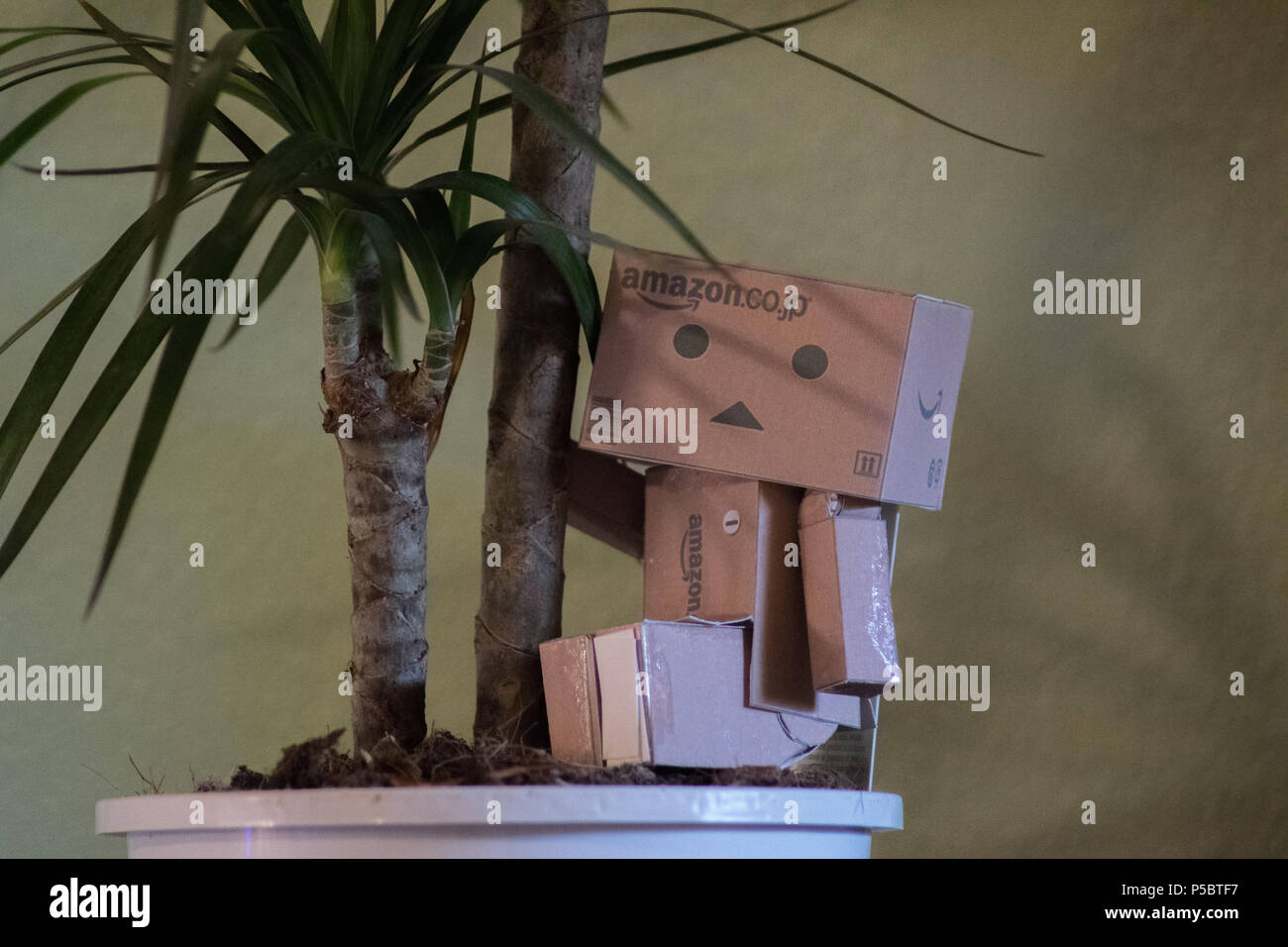 danbo good style Stock Photo