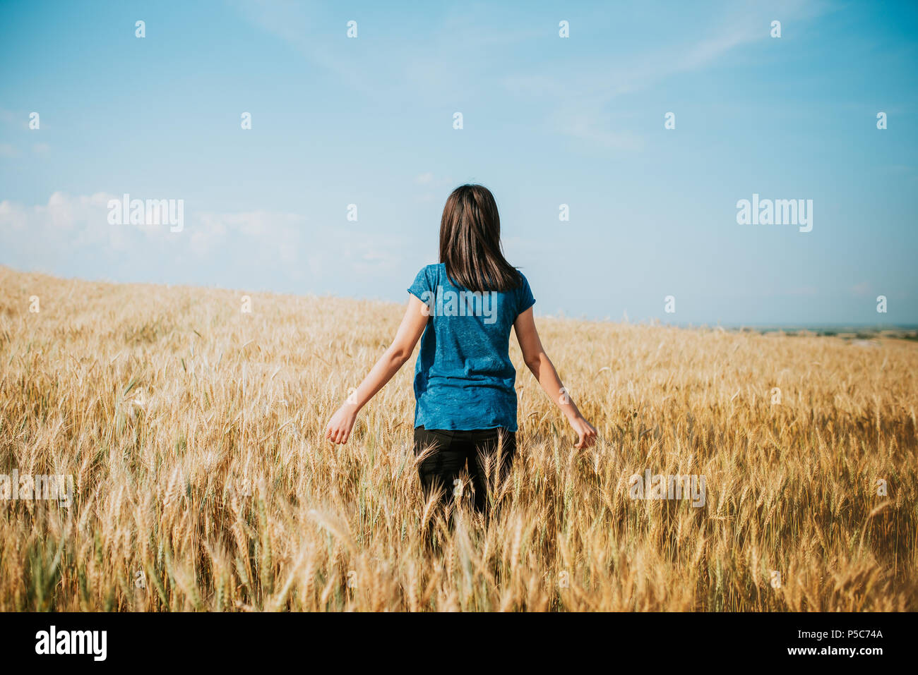 woman walking through wheat field, dolly shot. Girl's hand touching wheat ears Stock Photo