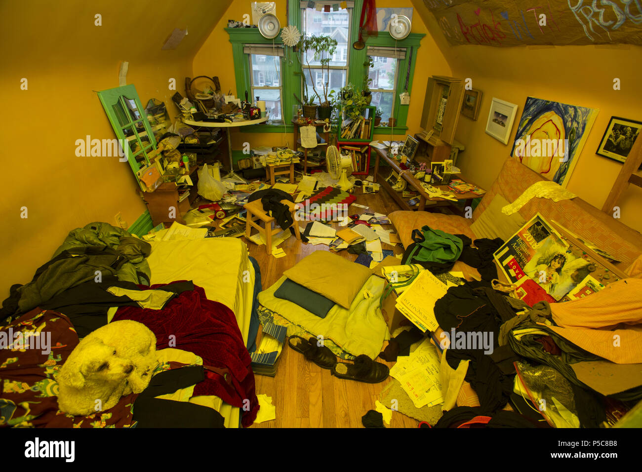 Neglectted Room Neglected dog hi-res stock photography and images - Alamy