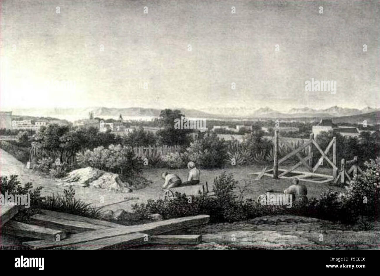 N/A. English: Camera lucida drawing of Ludwigsburg Botanic Garden in Cape Town, started by Baron von Ludwig about 1828 . 1834. John Herschel (1792-1871) 172 Baron von Ludwig00 Stock Photo