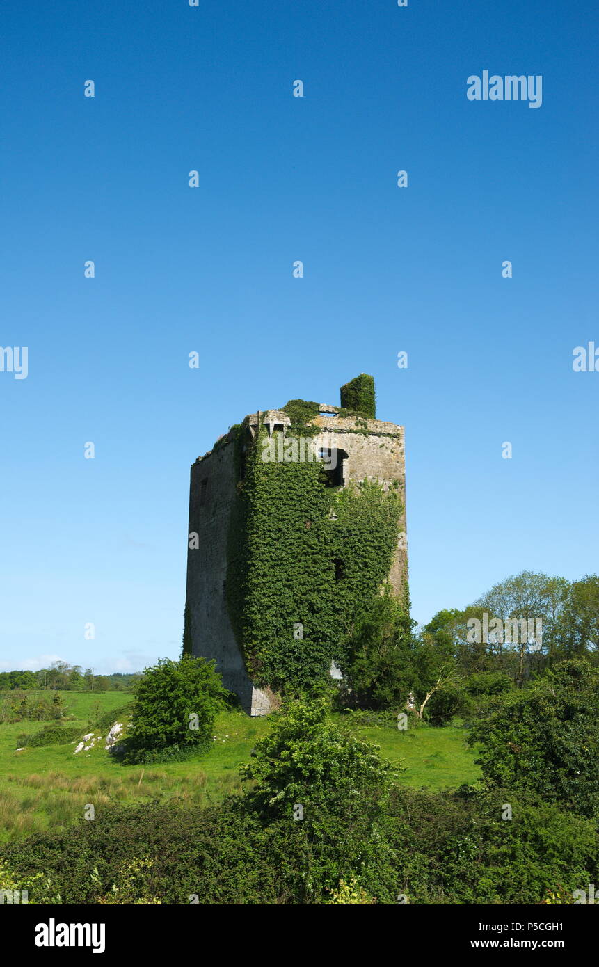 Cratloe castle ruin Stock Photo