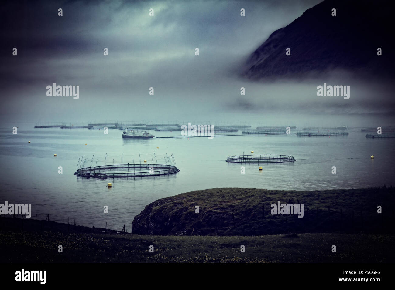 fish farm in faroe islands Stock Photo - Alamy