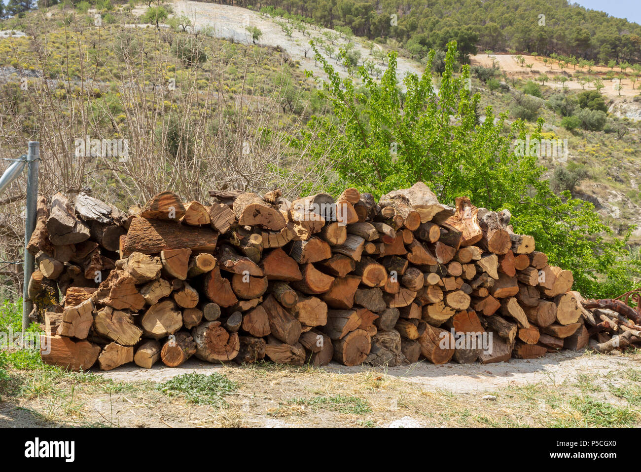 Split Logs stacked in a neat row Stock Photo Alamy