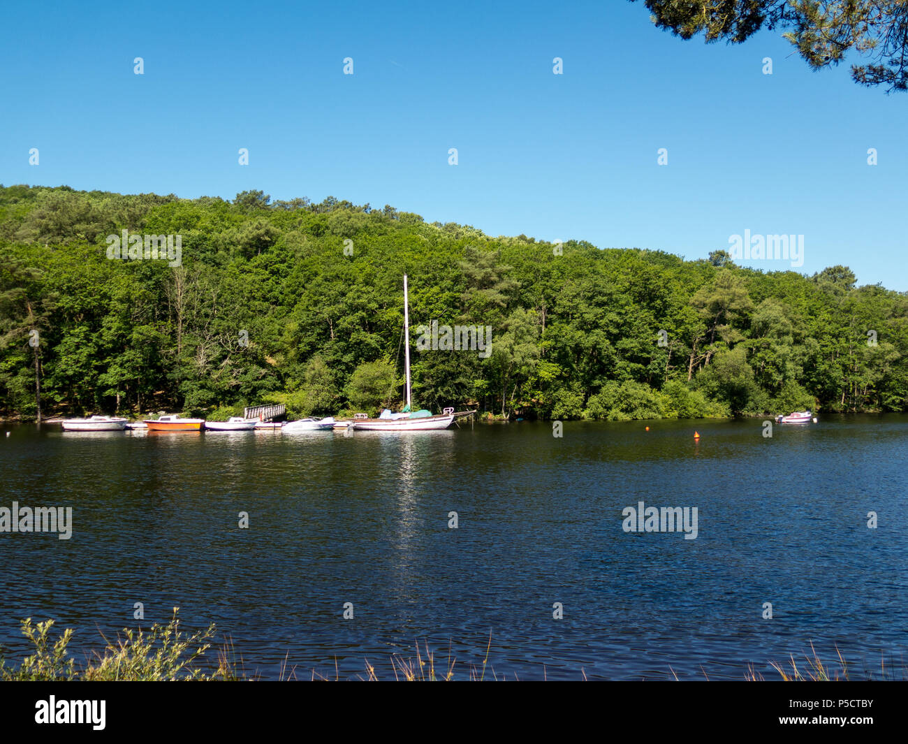 Anse de Sordan on the Lac Guerlédan, Brittany Stock Photo