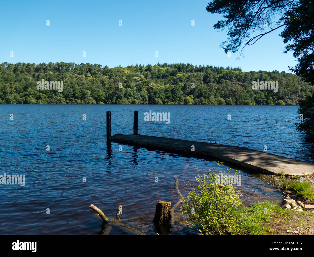 Anse de Sordan on the Lac Guerlédan, Brittany Stock Photo