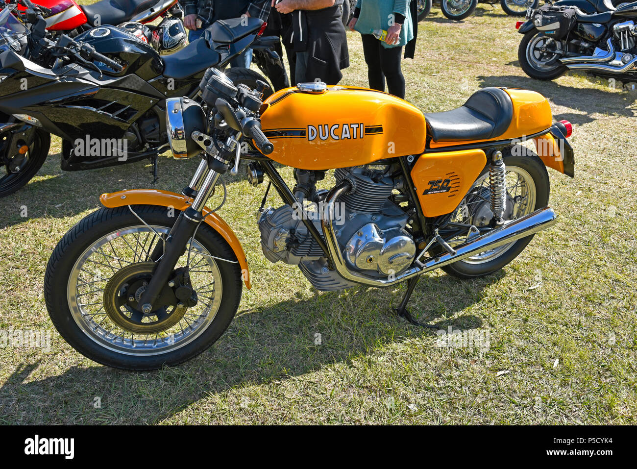orange ducati