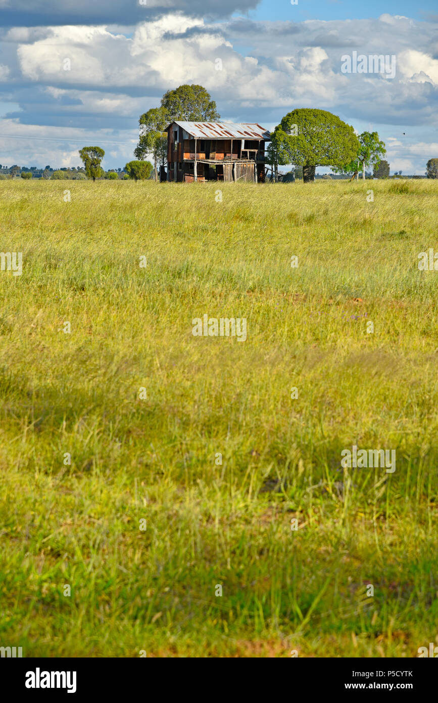 abandoned derelict farmhouse in the australian outback in queensland Stock Photo