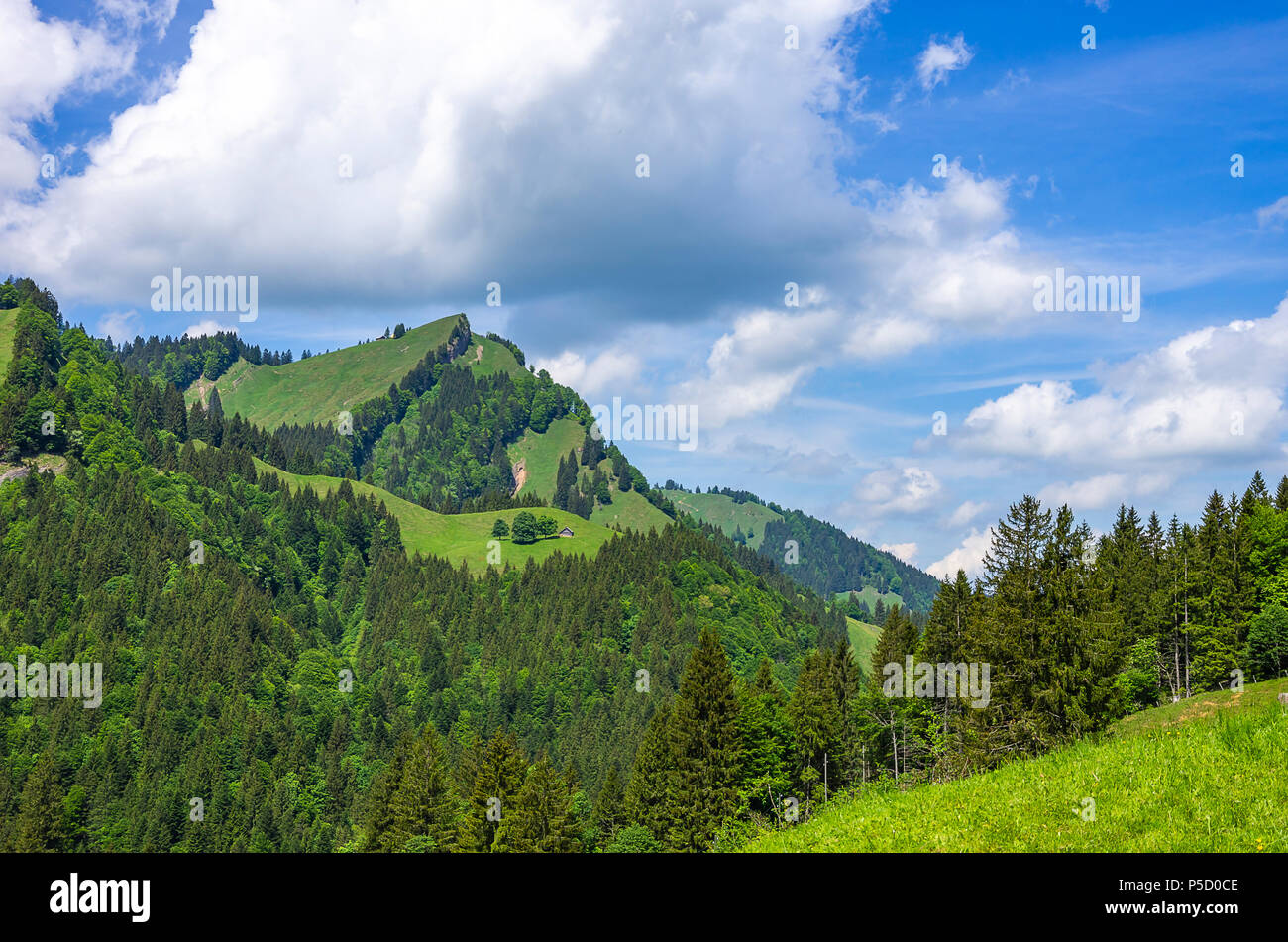 Mountain landscape in the Swiss Alps near Urnäsch and Schwägalp, Canton Appenzell Ausserrhoden, Switzerland. Stock Photo