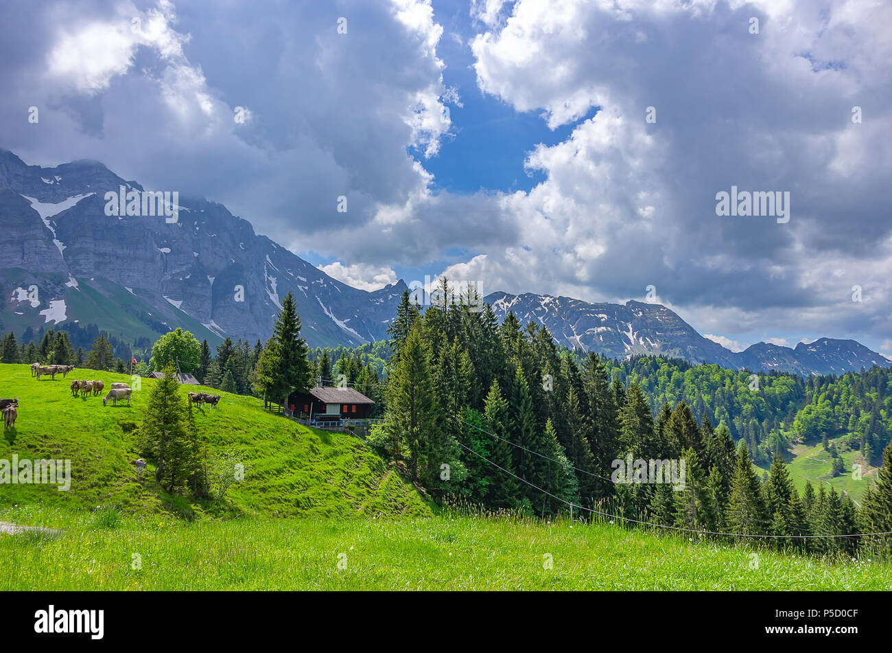 Mountain landscape in the Swiss Alps near Urnäsch and Schwägalp, Canton Appenzell Ausserrhoden, Switzerland. Stock Photo