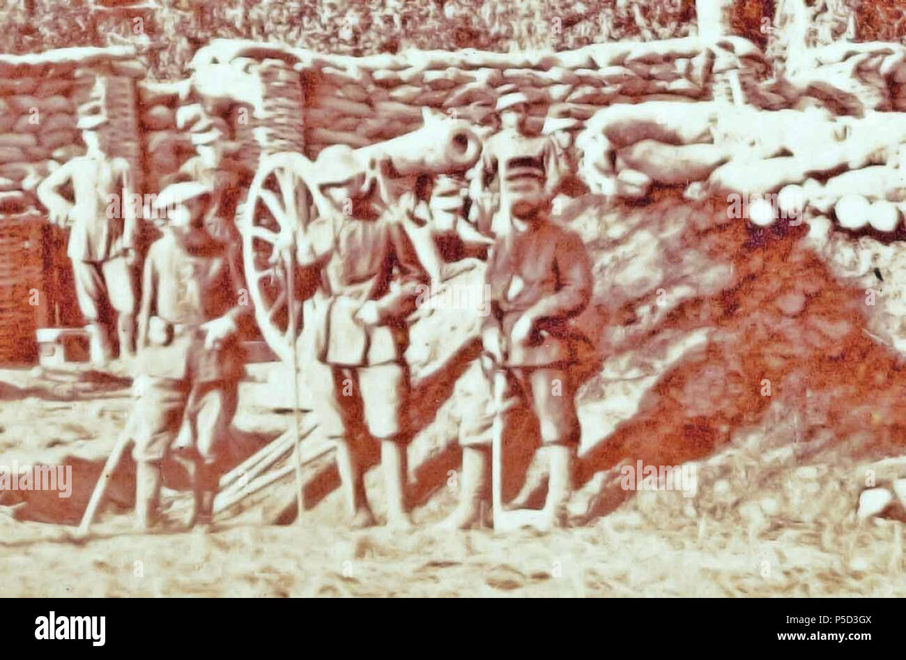 N/A. English: Artillerie in de Kraton . 1874. nvt 176 Batterij-van-12-cm-kanonnen Stock Photo