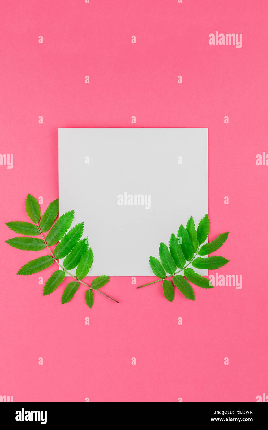 Creative flat lay top view white letter mock up with fresh green rowan ...