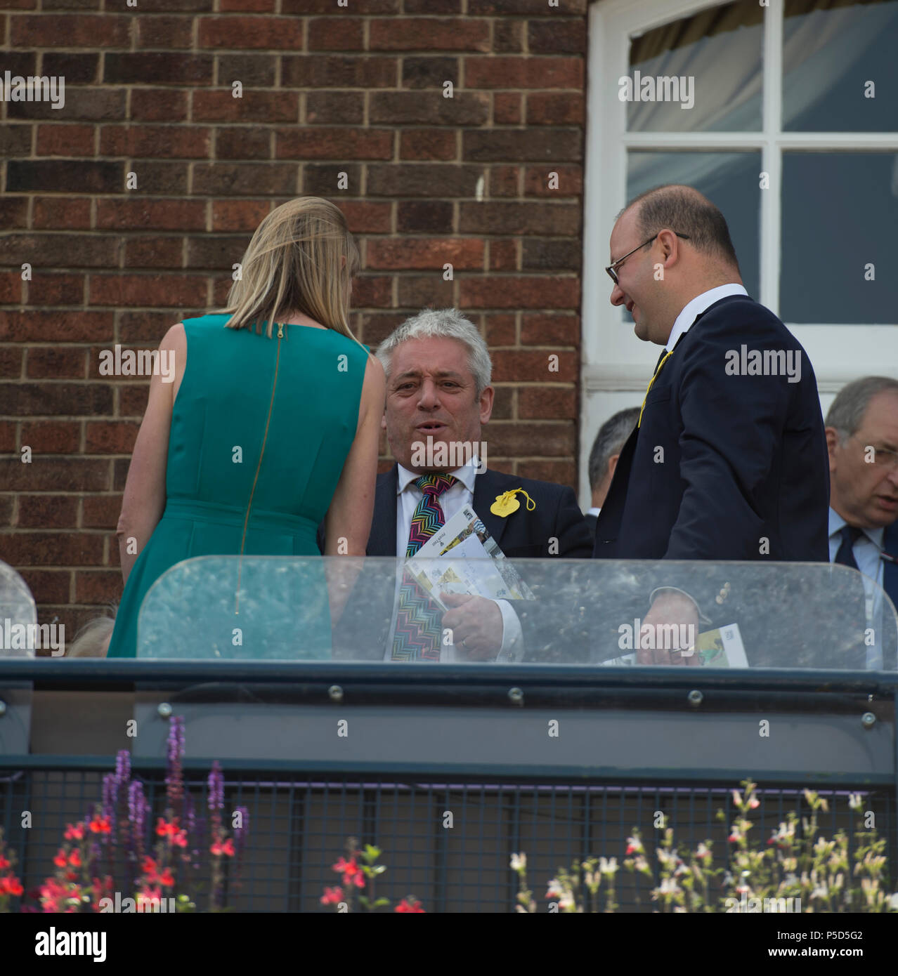 24 June 2018. The Queen’s Club, London, UK. Fever Tree Championships mens singles final match, Marin Cilic (CRO) vs Novak Djokovic (SRB). Stock Photo