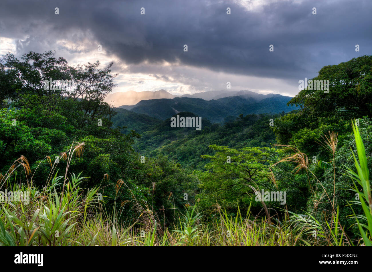 A landscape looking out over the rainforest in Panama, Central America Stock Photo