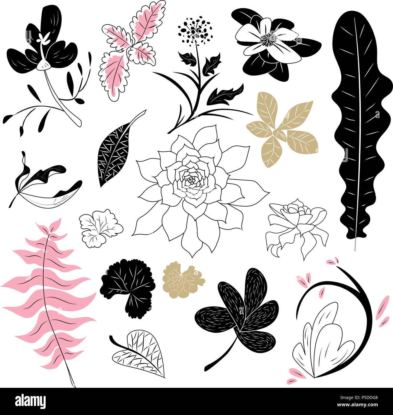 Beautiful collection flowers leaves Stock Vector Images - Alamy