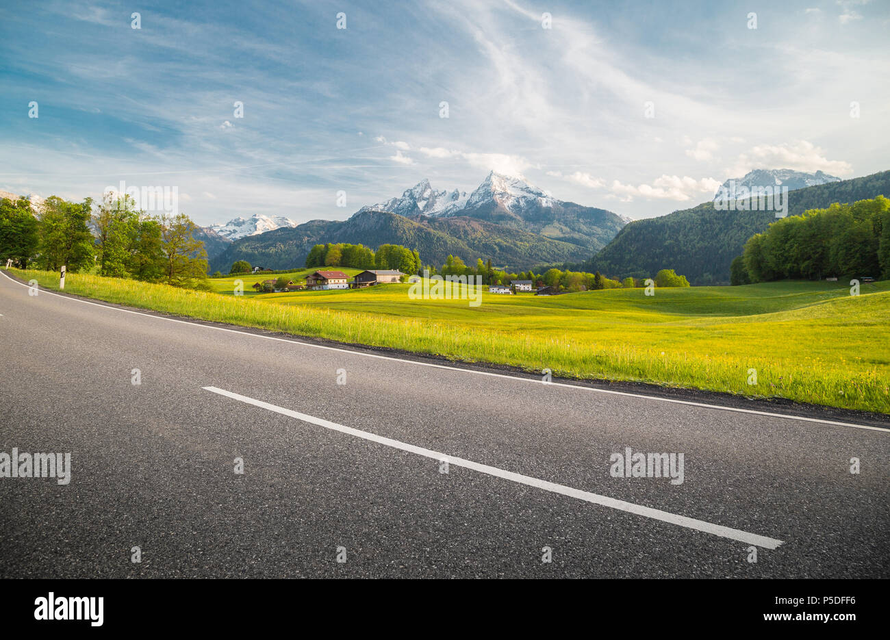 Panoramic view of empty country road leading through beautiful alpine mountain scenery with fresh green meadows full of blooming flowers in springtime Stock Photo