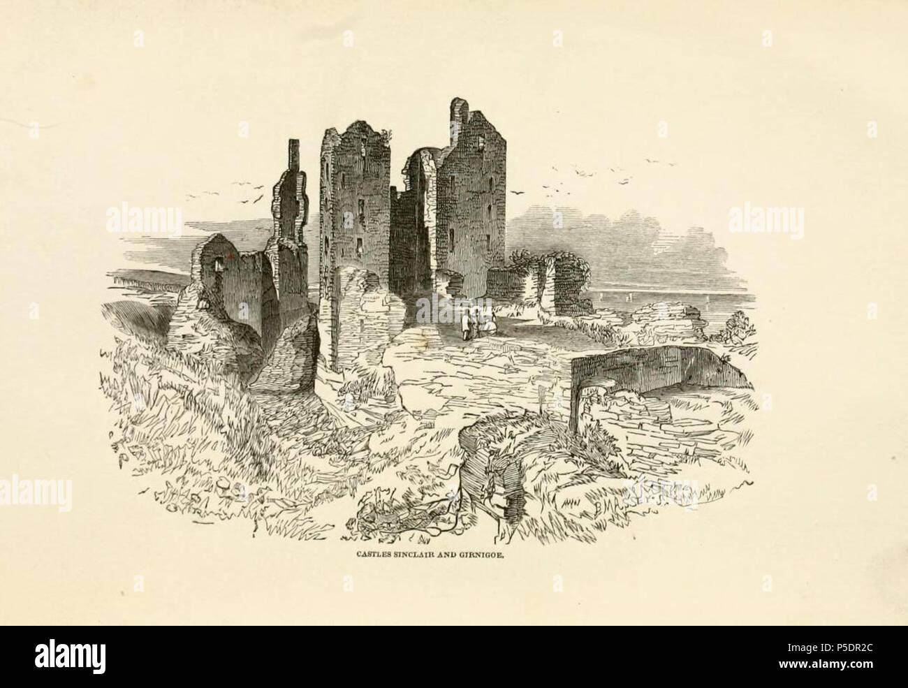 N/A. English: Castle Sinclair Girnigoe, Caithness, Scotland, illustration from James Traill Calder, Sketch of the Civil and Traditional History of Caithness from the Tenth Century (1861). 1861. Unknown engraver 281 Castle Sinclair Girnigoe Calder Stock Photo