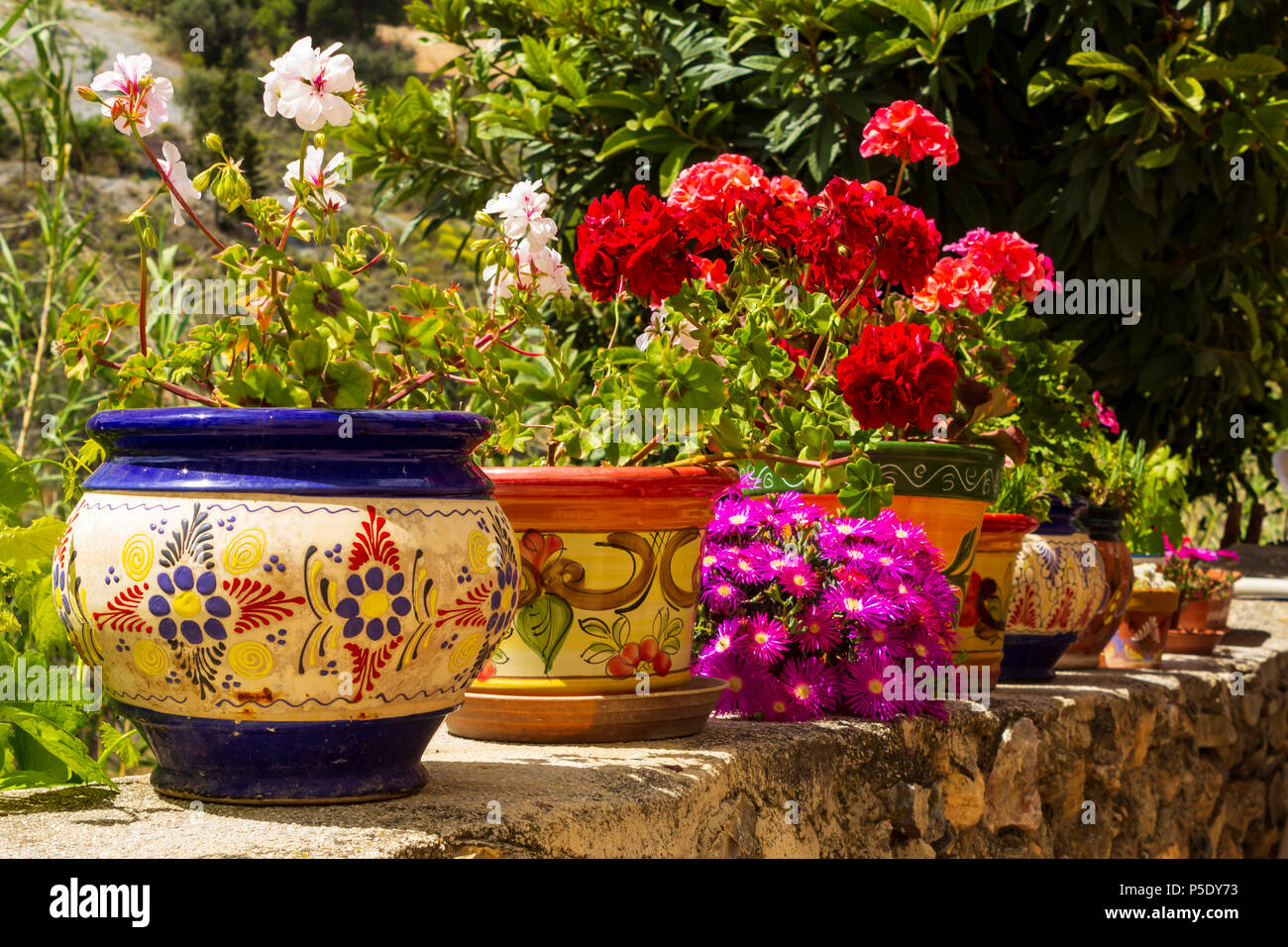 Painted Ceramic Plant Pots, multi Colored with flowers Stock Photo Alamy