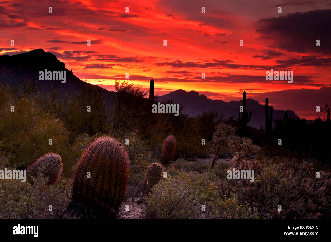 Mountain of oranges hires stock photography and images Alamy