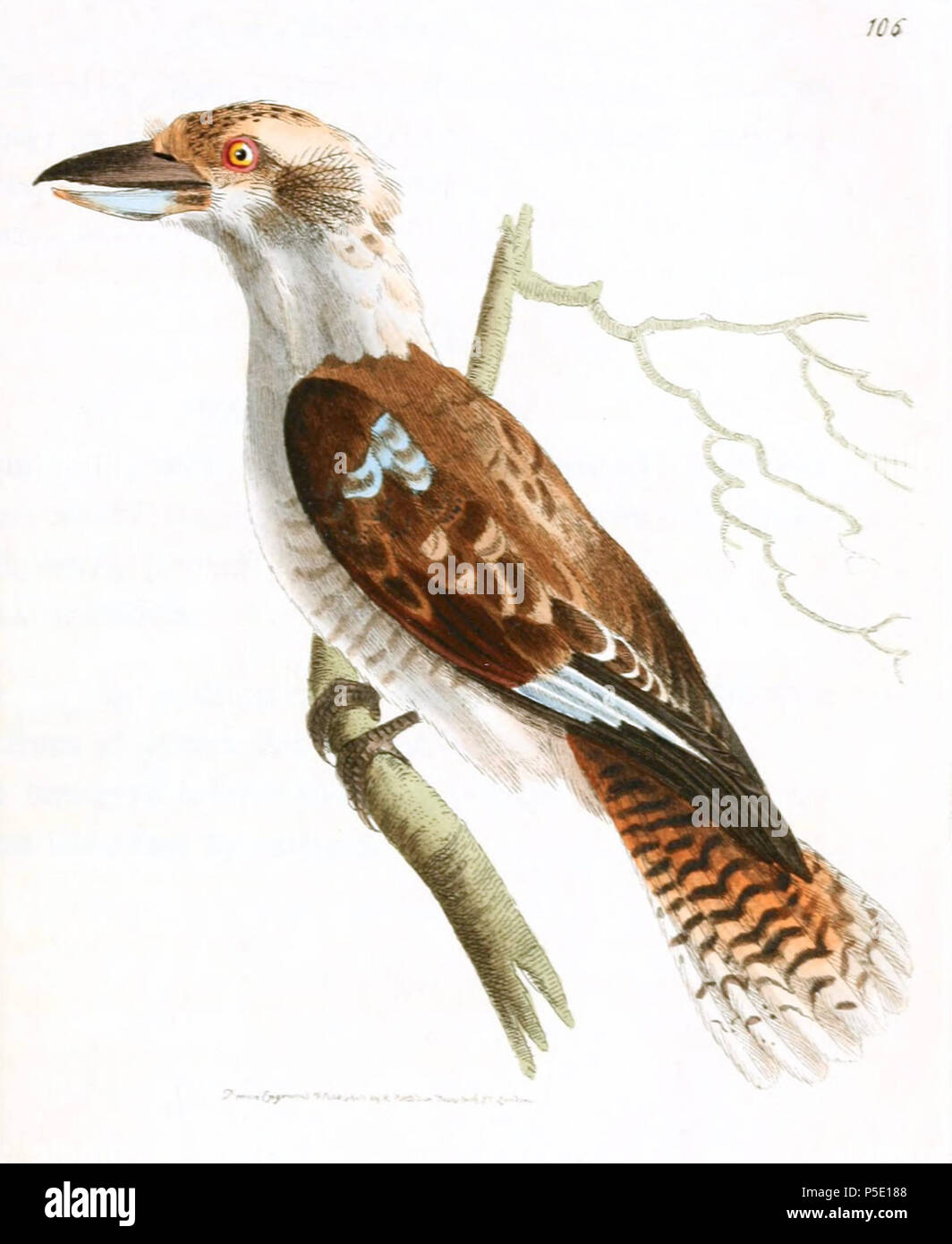 William elford leach hires stock photography and images Alamy