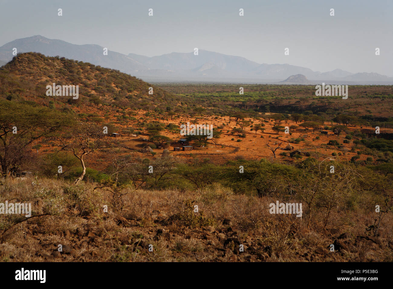 Livestock herders drive their herds to the few waterholes in the dry landscape of the provincial town Isiolo. For years northern Kenya has been suffer Stock Photo