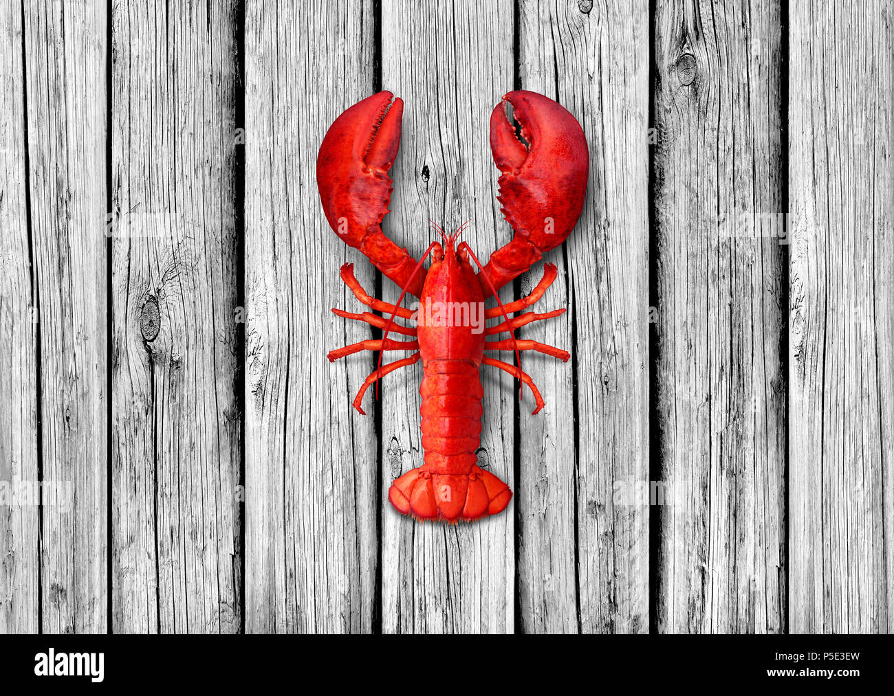 Lobster on old white wood background as weathered copy space representing seafood and marine ocean or sea lifestyle. Stock Photo