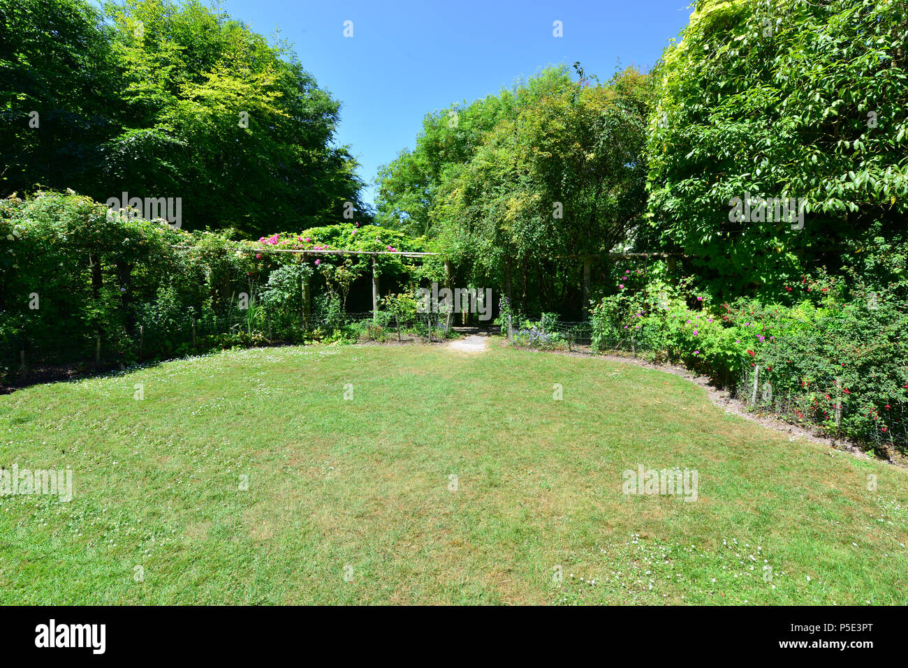 An English country garden in summertime. Stock Photo