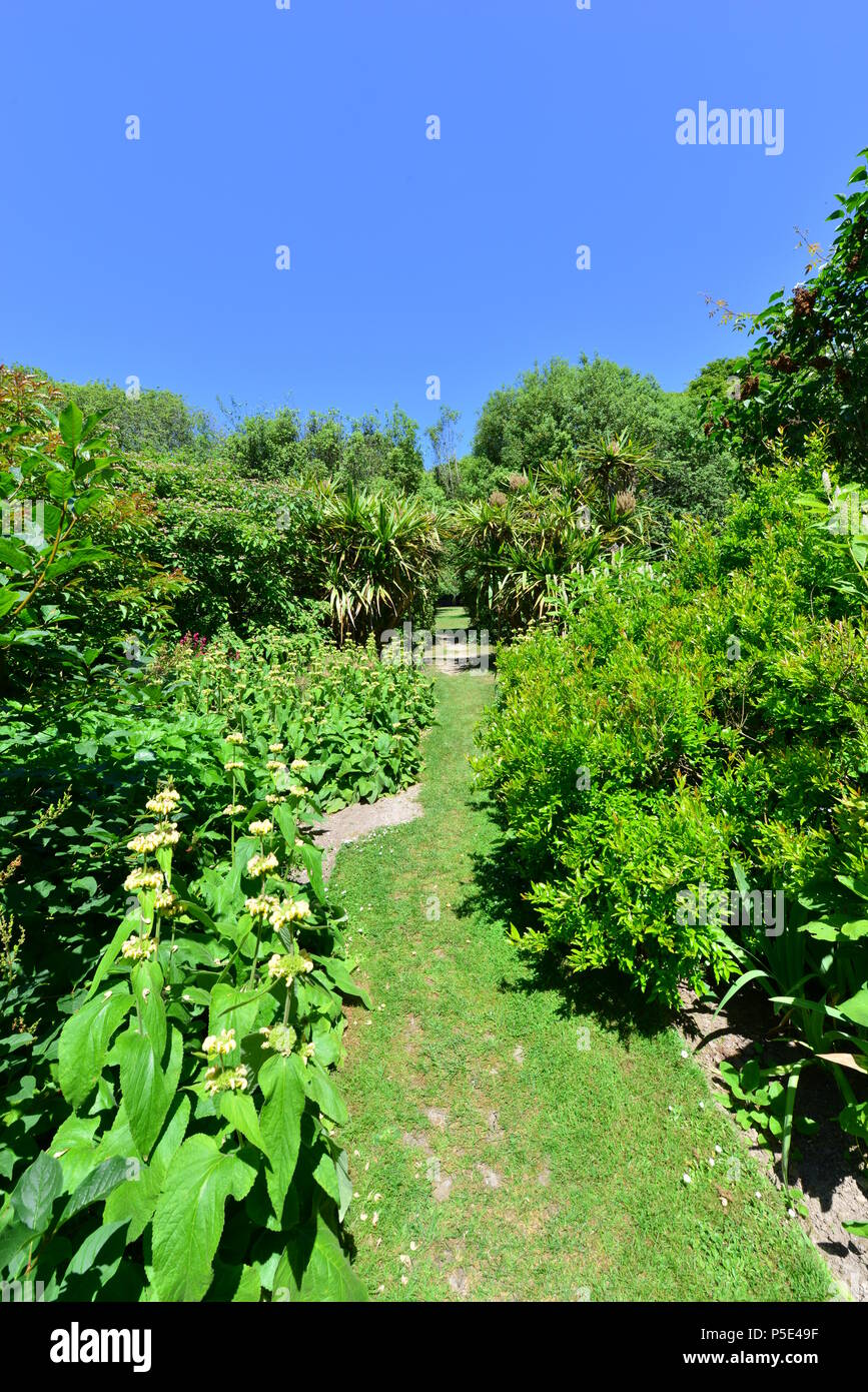 An English country garden in summertime. Stock Photo