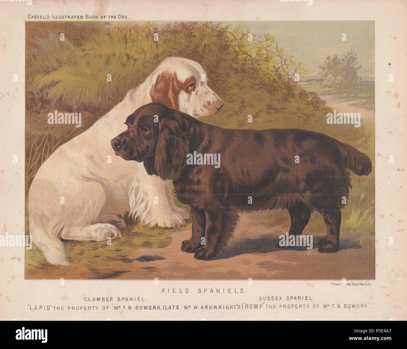 Romp hi-res stock photography and images - Alamy