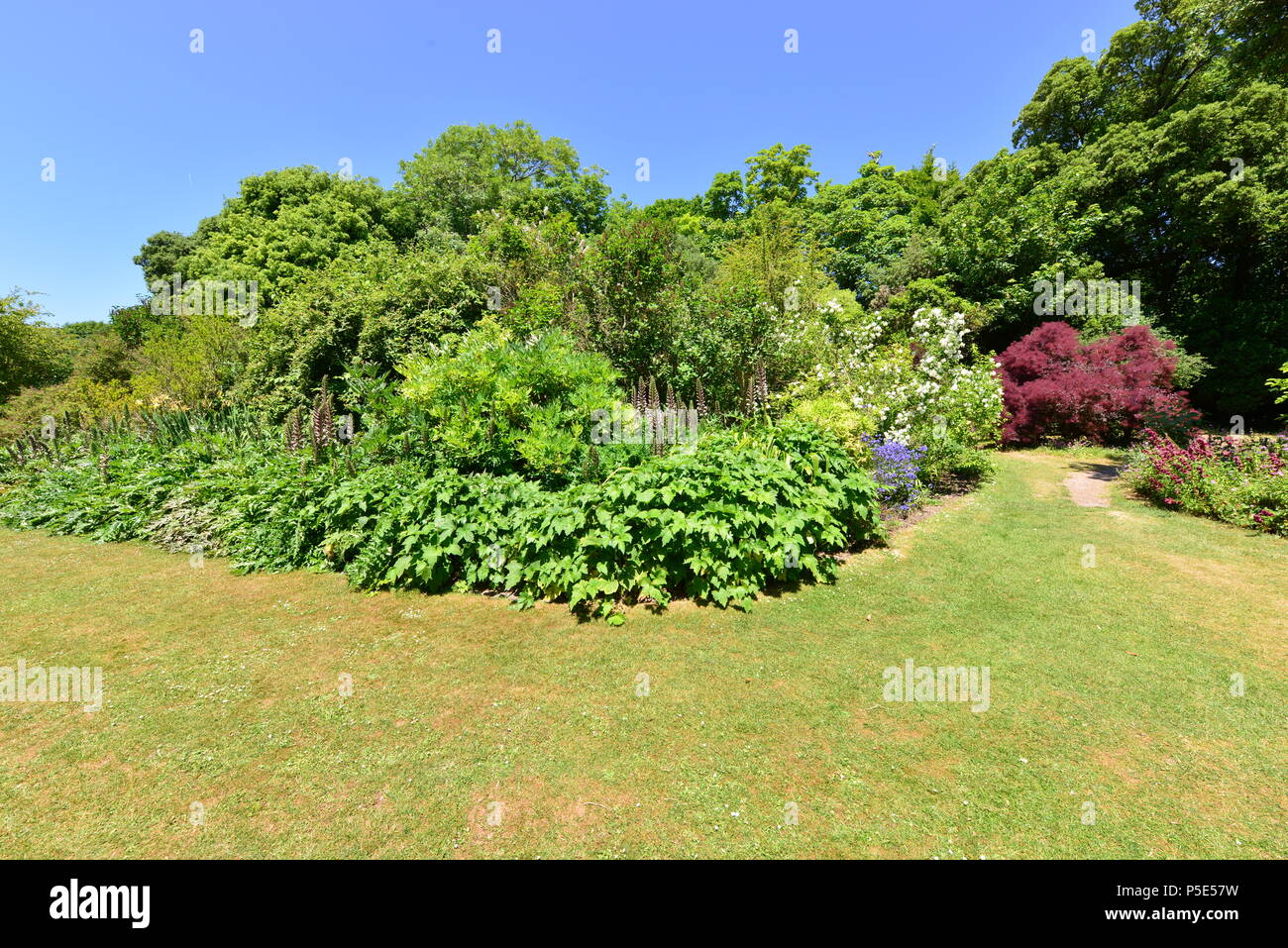 An English country garden in summertime Stock Photo - Alamy
