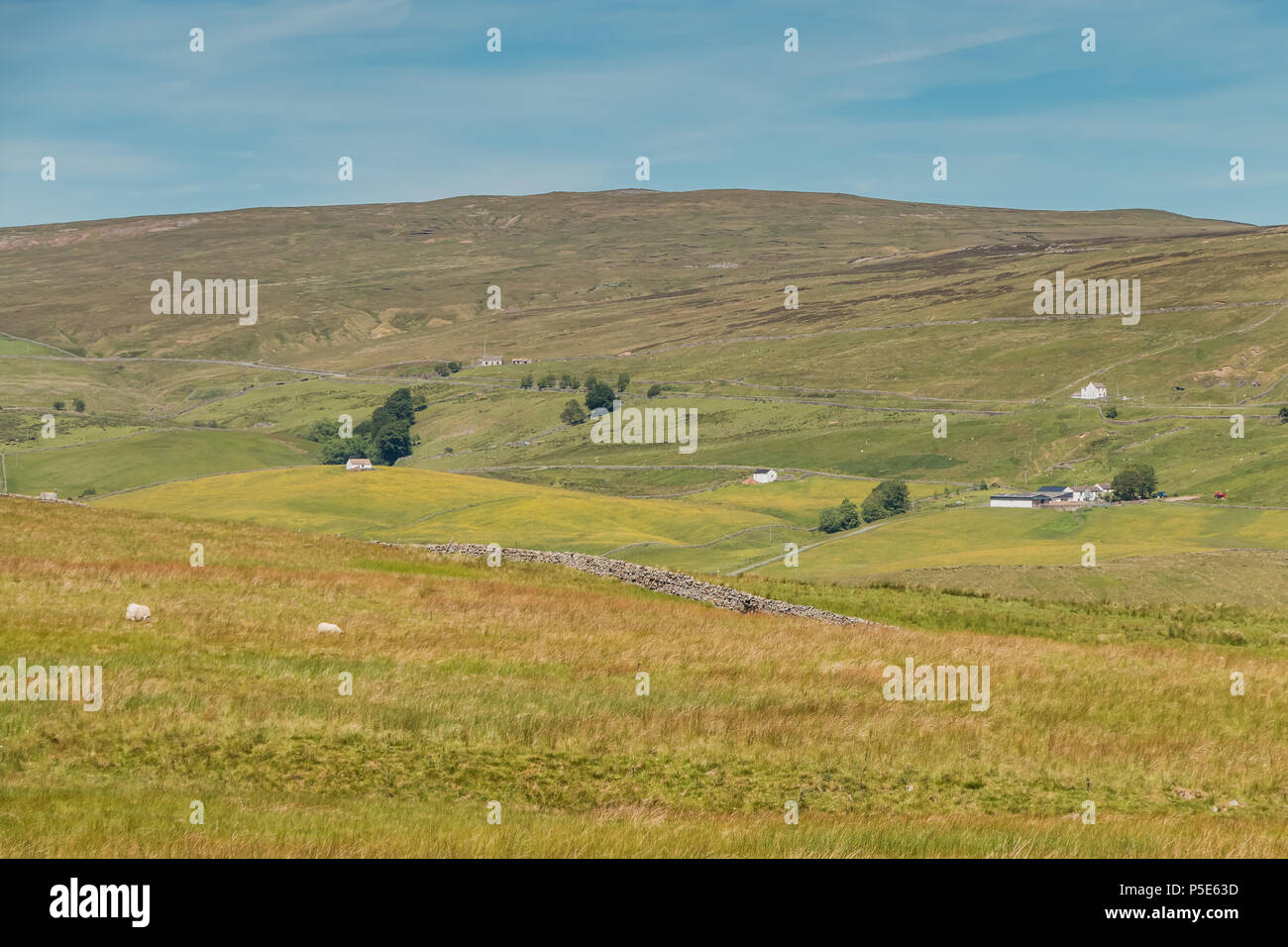 North Pennines AONB landscape, Harwood, Upper Teesdale from the Cow Green road Stock Photo