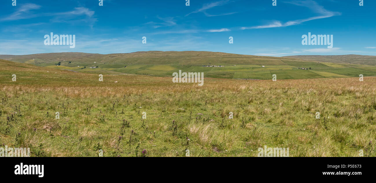 North Pennines AONB panoramic landscape, Harwood, Upper Teesdale from the Cow Green road Stock Photo