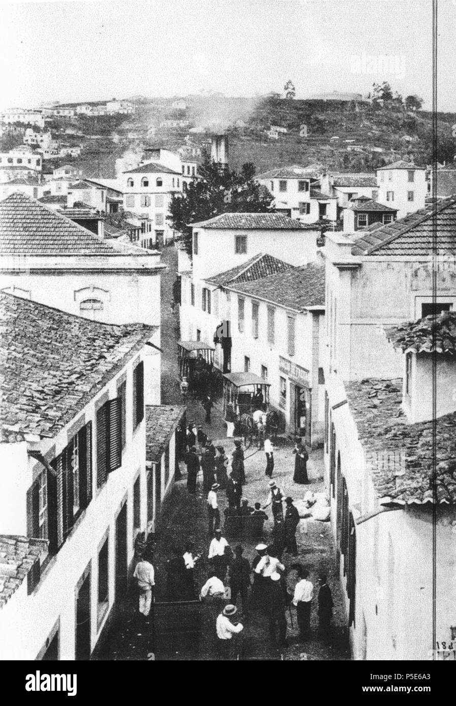 N/A. Português: Carros americanos (tracção animal sobre carris) no Funchal  (Madeira, Portugal). circa 1900. Unknown 93 Americanos Funchal (Rua do  pombal Stock Photo - Alamy