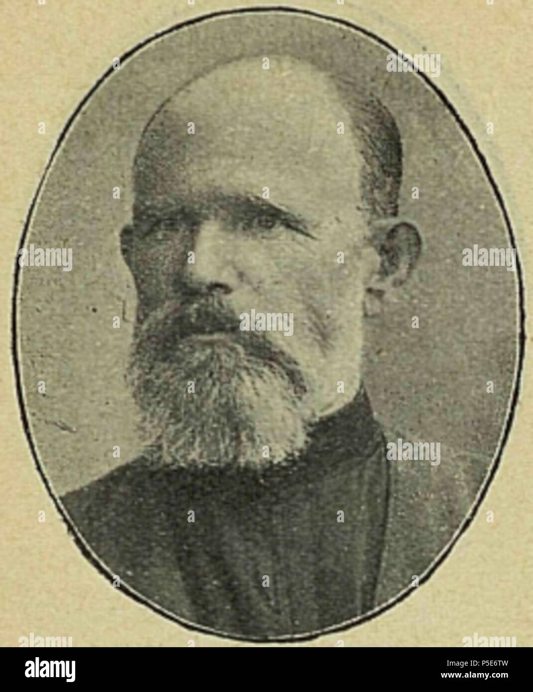 N/A. English: Petr Petrovich Demirov, a member of the First Russian State Duma . 1906. Unknown photographer 434 DemirovPetrPetr Stock Photo