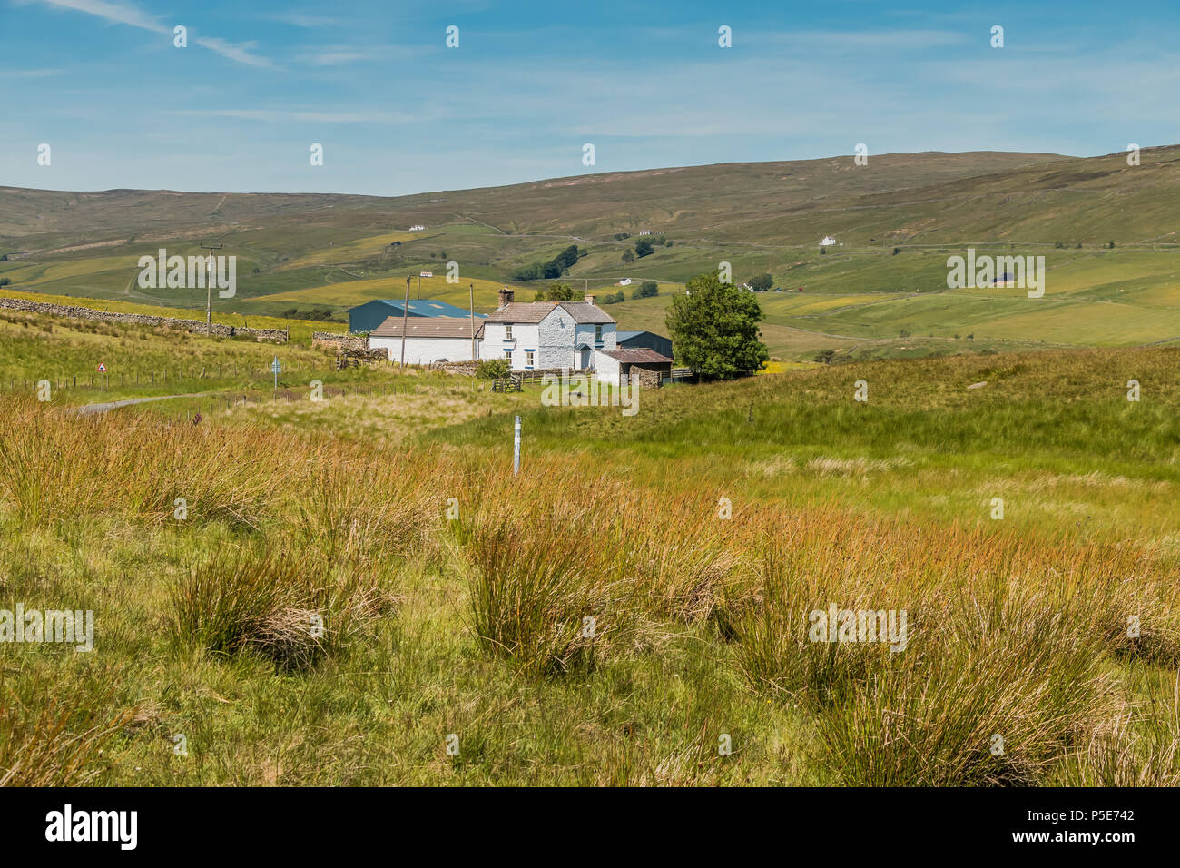 North Pennines AONB landscape, Peghorn Lodge Farm, Harwood, Upper Teesdale from the Cow Green road Stock Photo