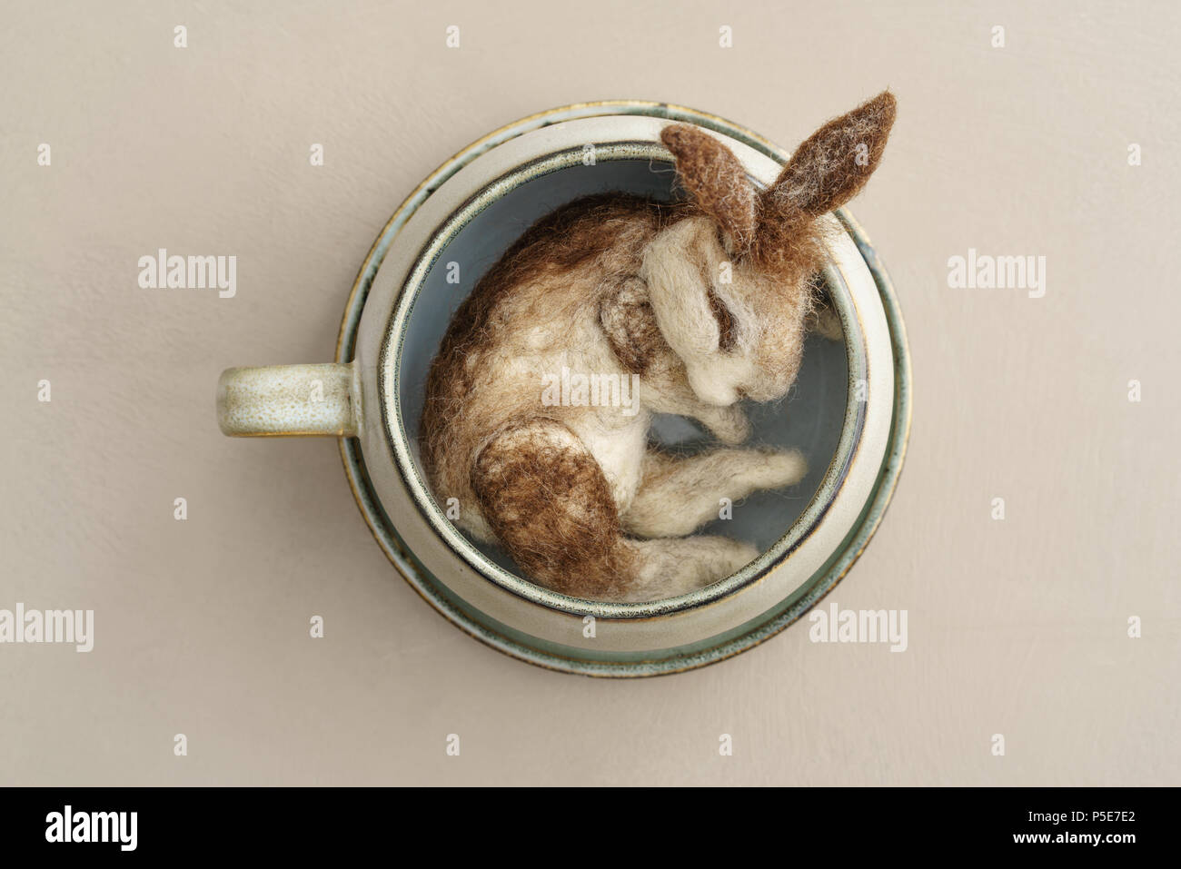 Young rabbit sitting in a coffee cup Stock Photo - Alamy