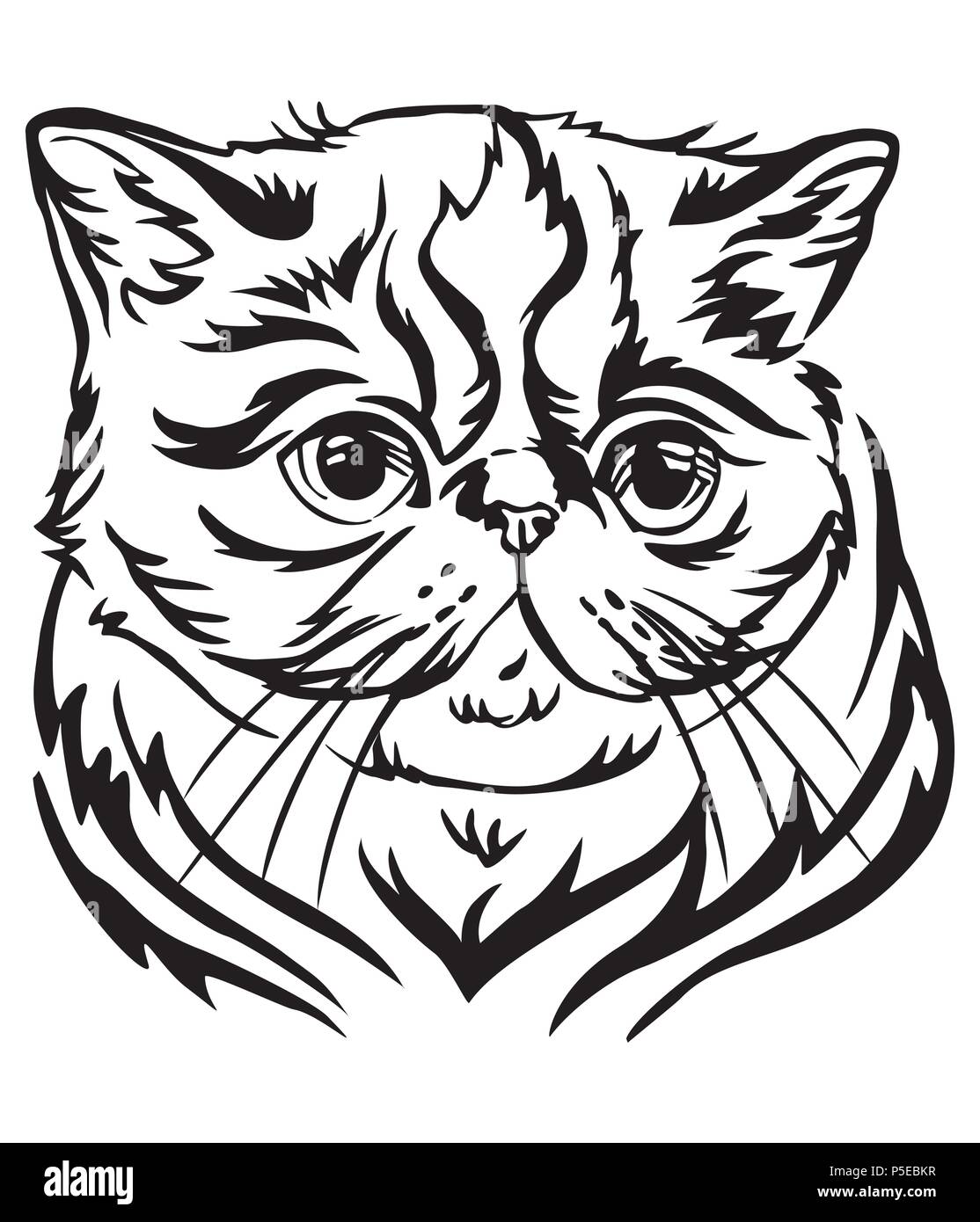 Cat, exotic shorthair, angry-looking face, front view, gaming logo, white  background